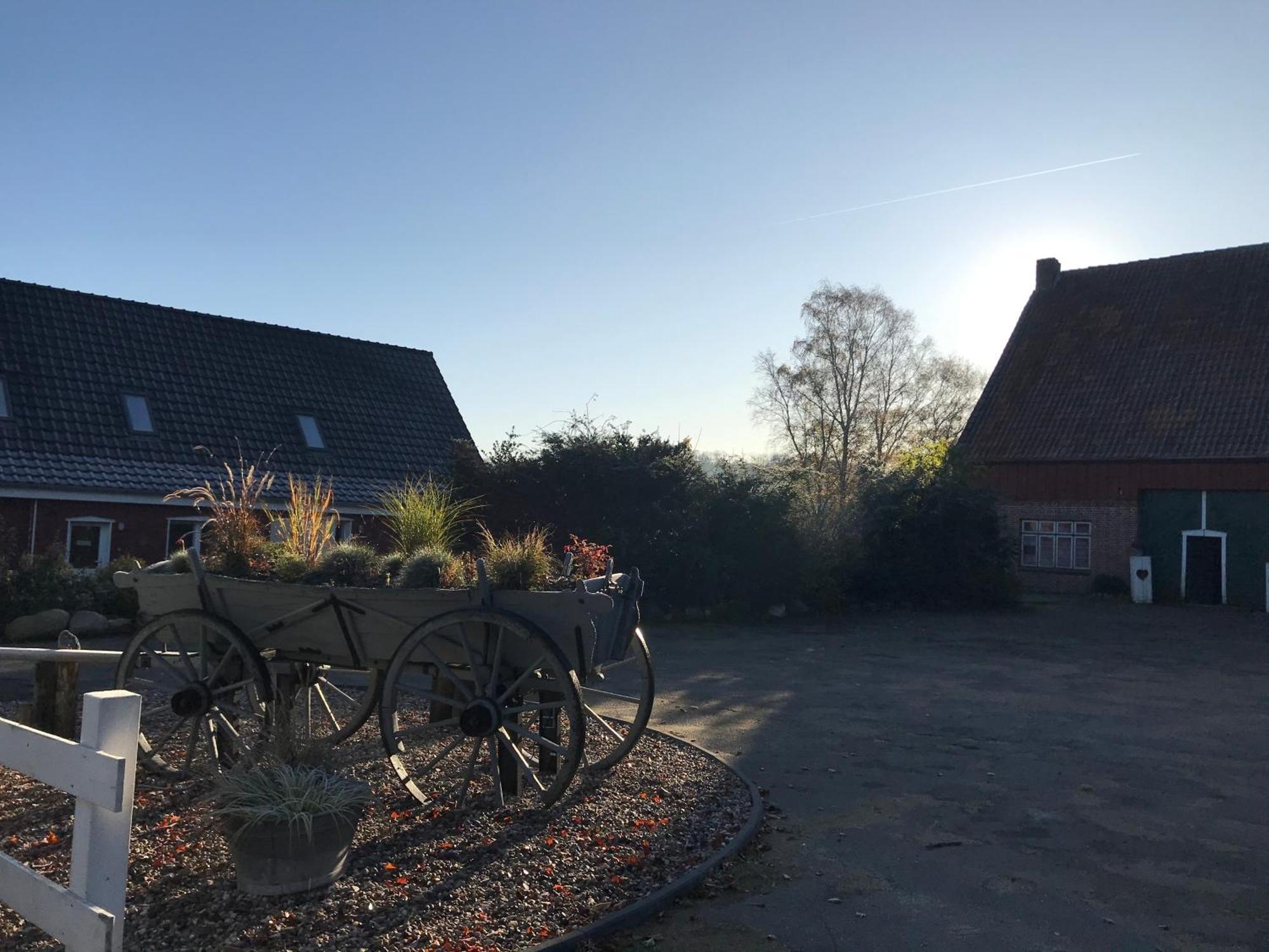 Moderne Ferienwohnung Auf Gut Bennewohld Wl Heide  Exteriör bild