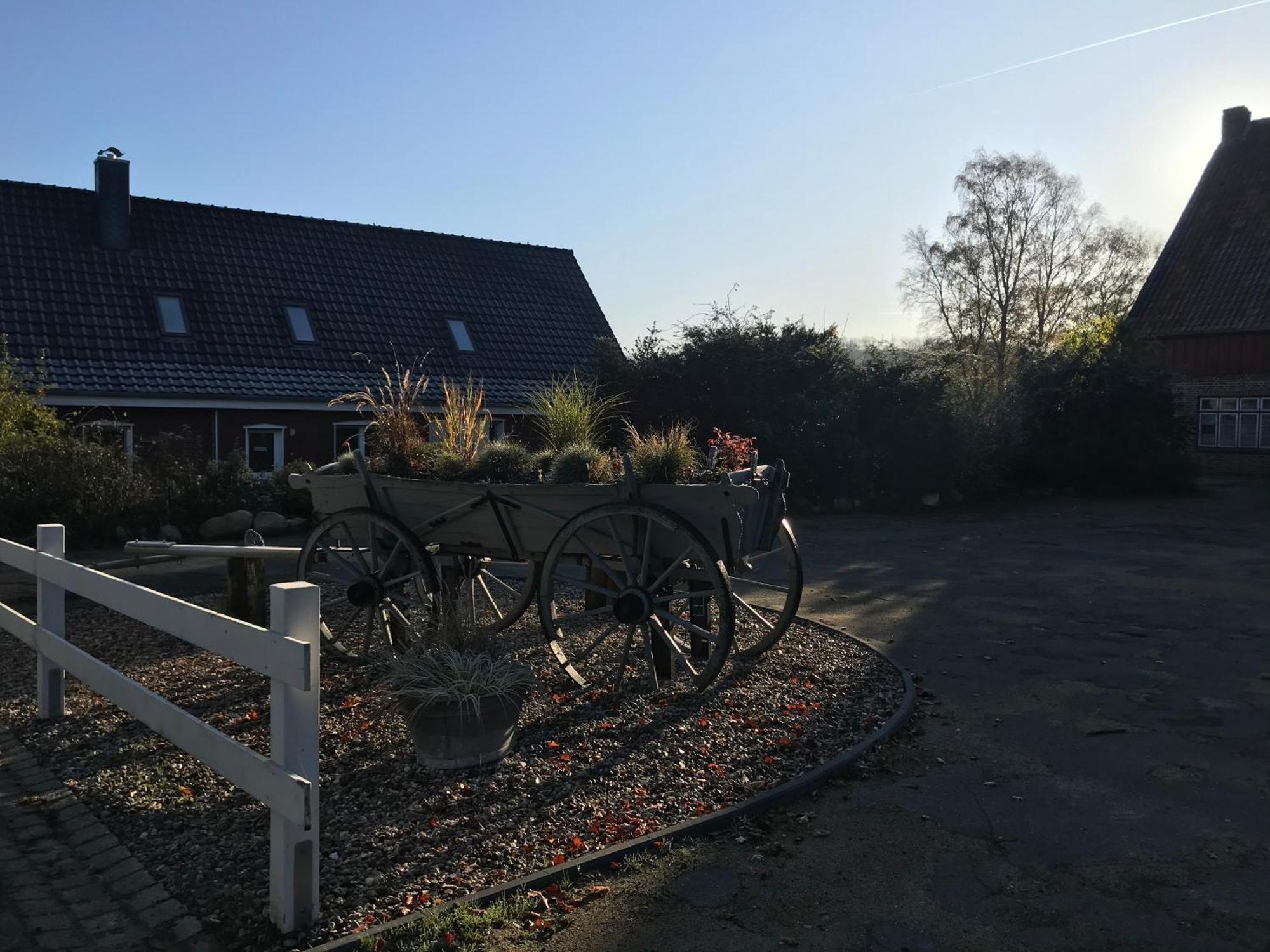 Moderne Ferienwohnung Auf Gut Bennewohld Wl Heide  Exteriör bild